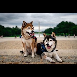 Meet your Posher, Christine